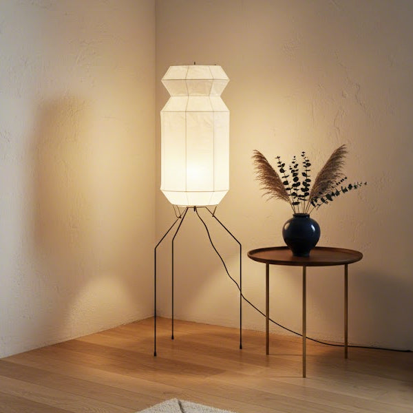 Geometric Aesthetics