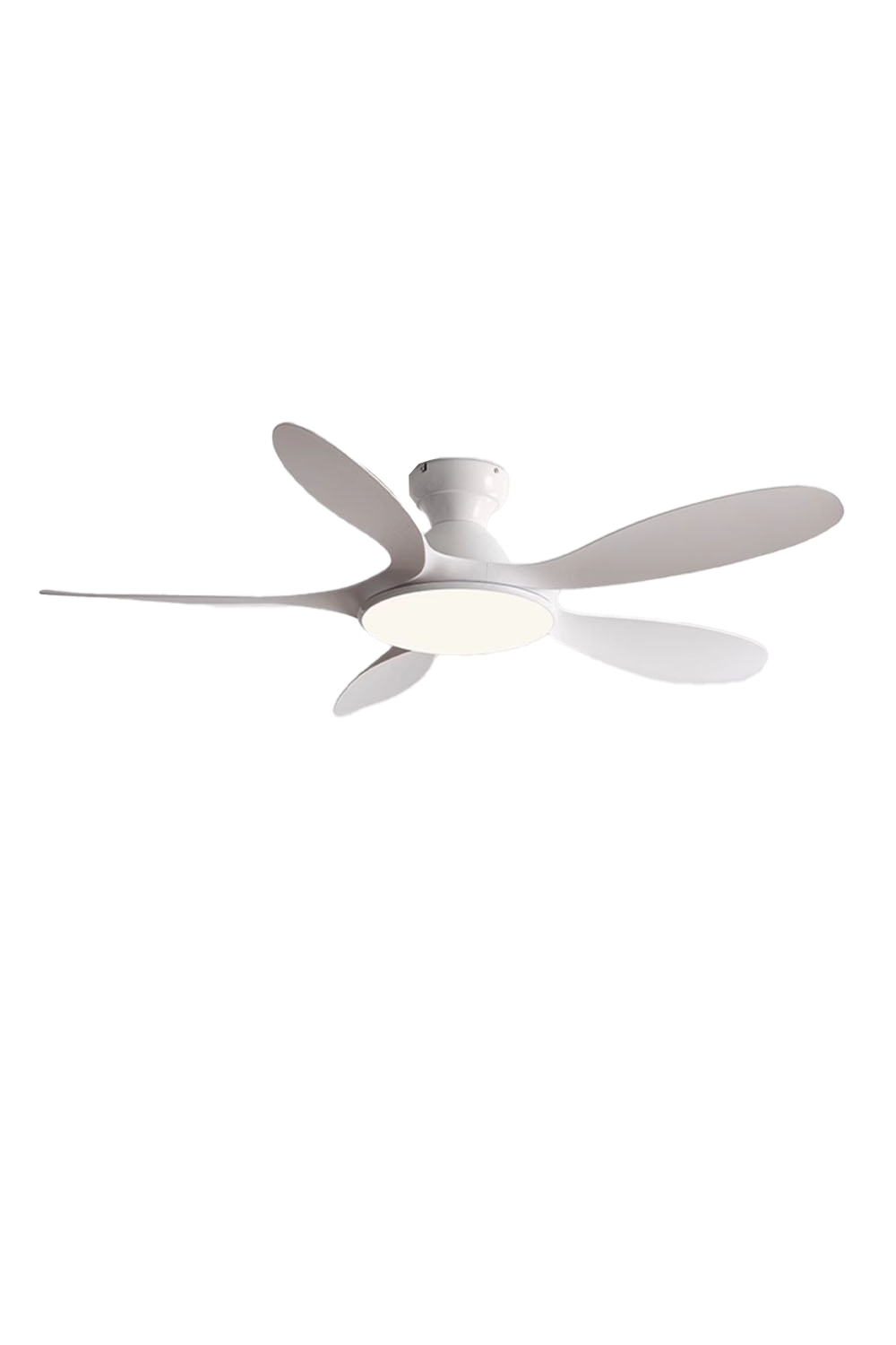 Modern Fan Blade Ceiling Lamp