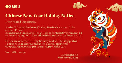 Important Notice: Shipping Interruption During Spring Festival (Jan 29 - Feb 24)