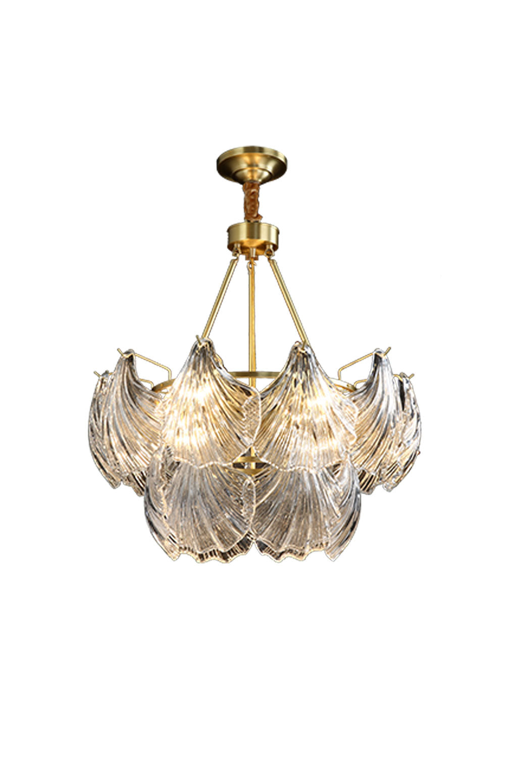 Scallop Shaped Chandelier Light - SamuLighting