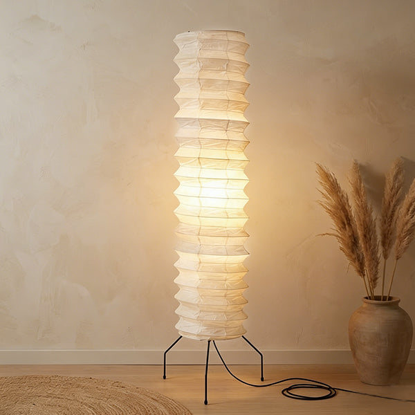 Iconic Accordion Silhouette