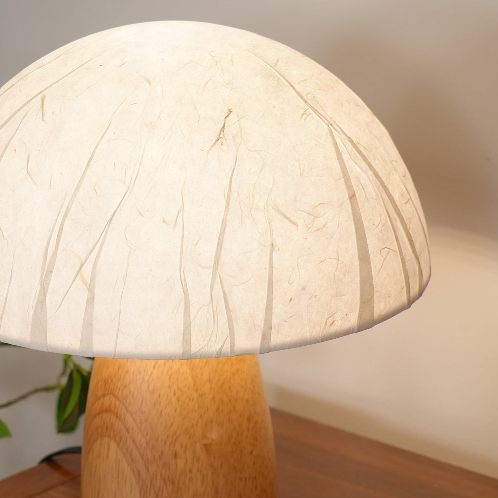 Veined Acrylic Dome