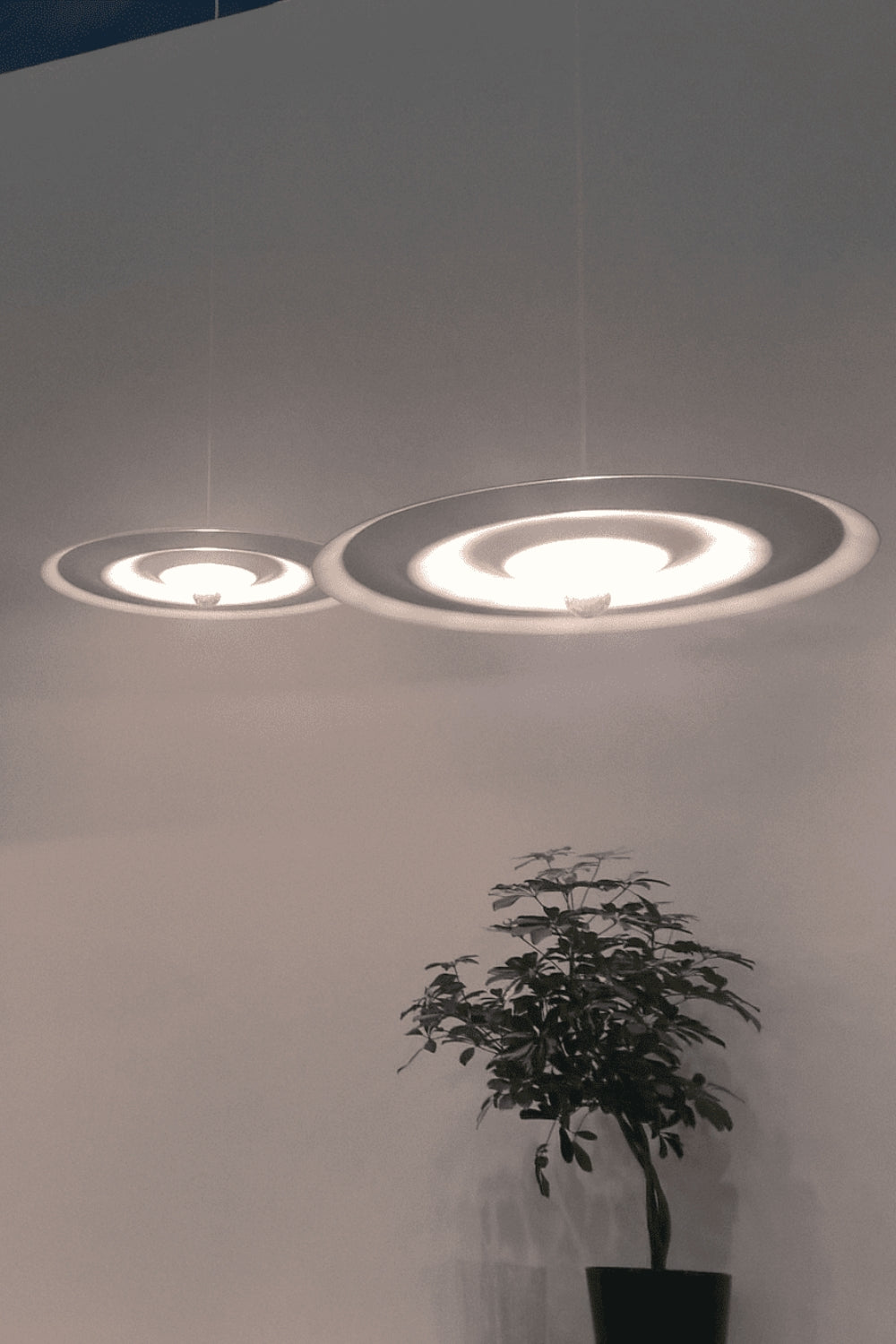 Alma pendant lamp - SamuLighting