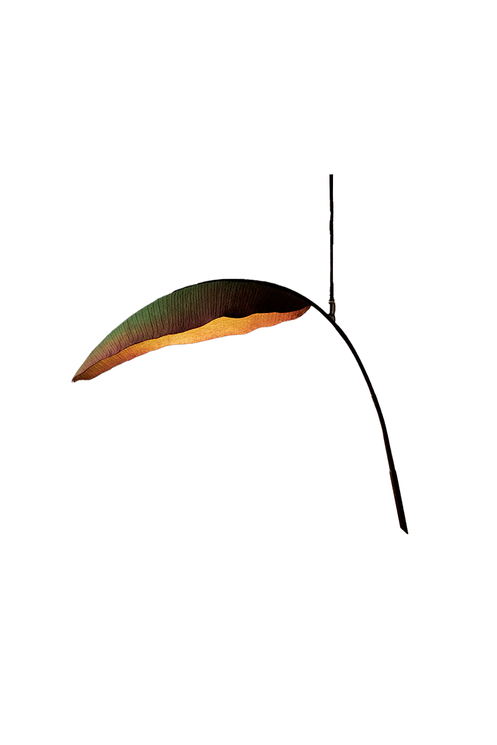Banana Leaf Pendant Light