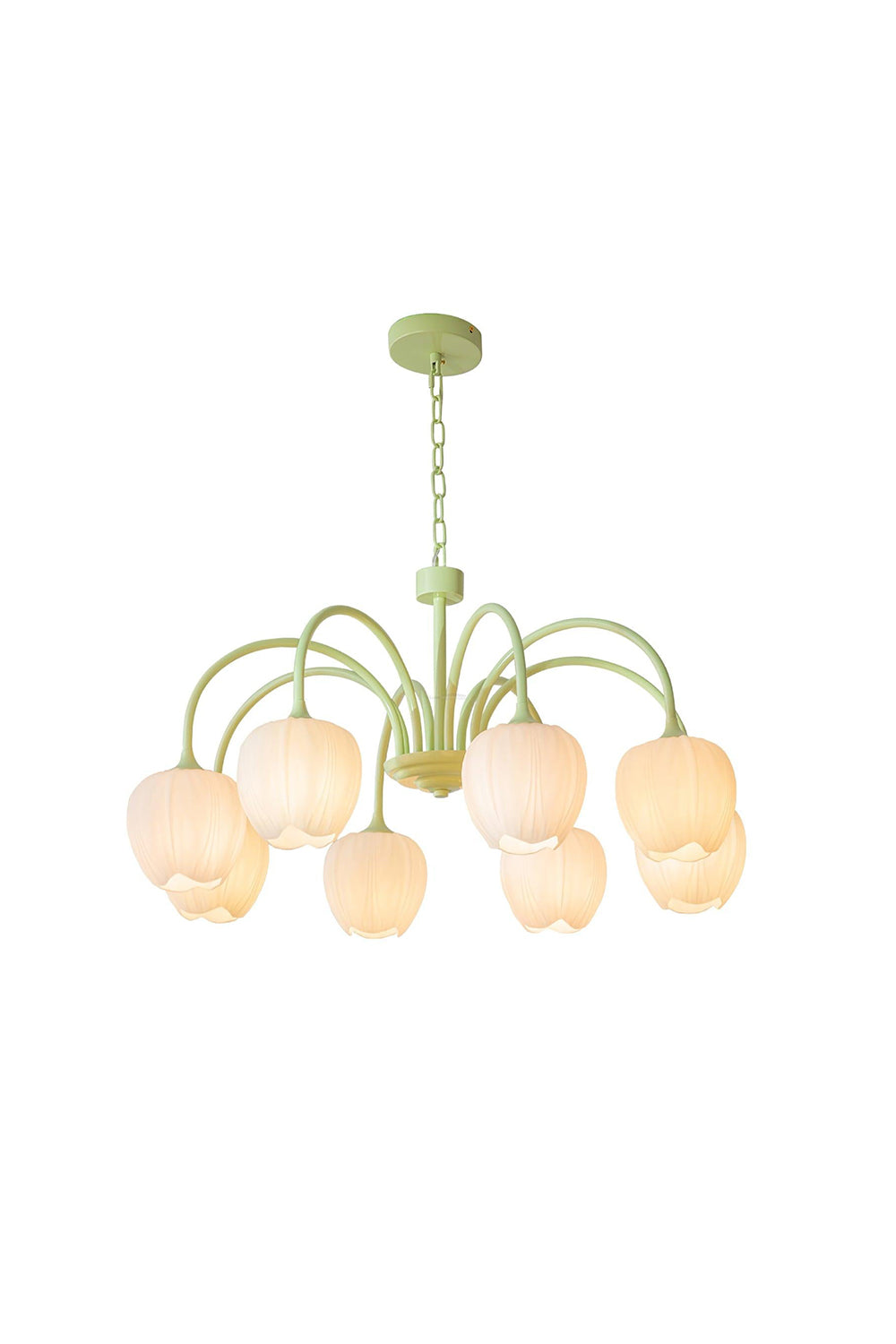 Blossom Tulip Matcha Chandelier