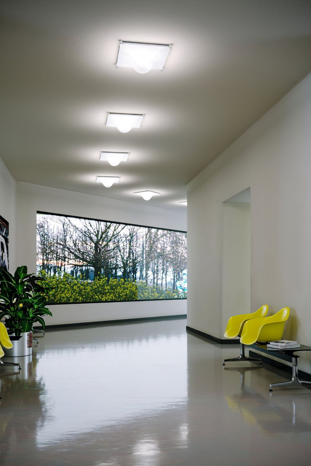 Bolla Ceiling Light - SamuLighting