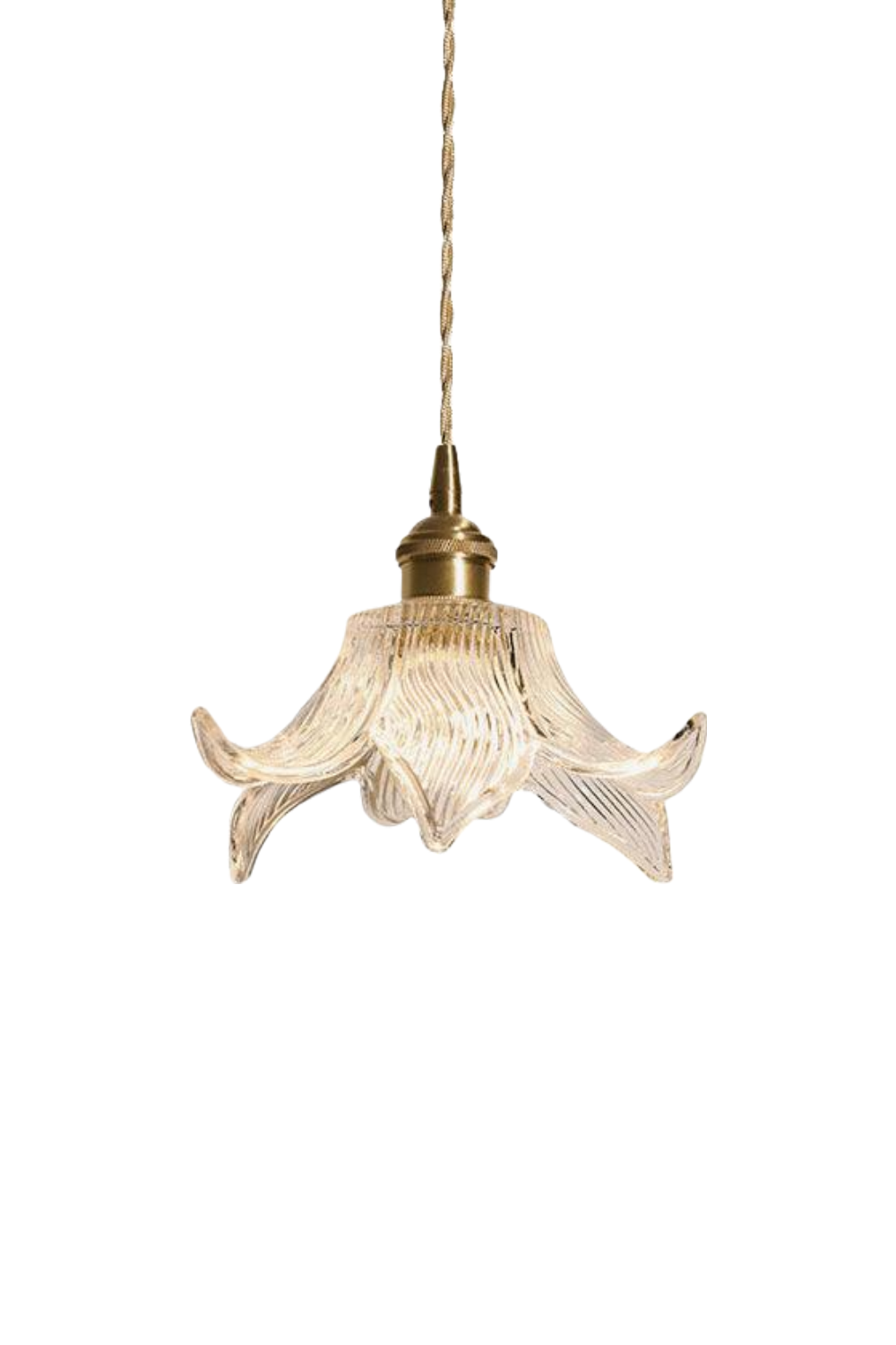 Clear Petal Glass Pendant Lamp