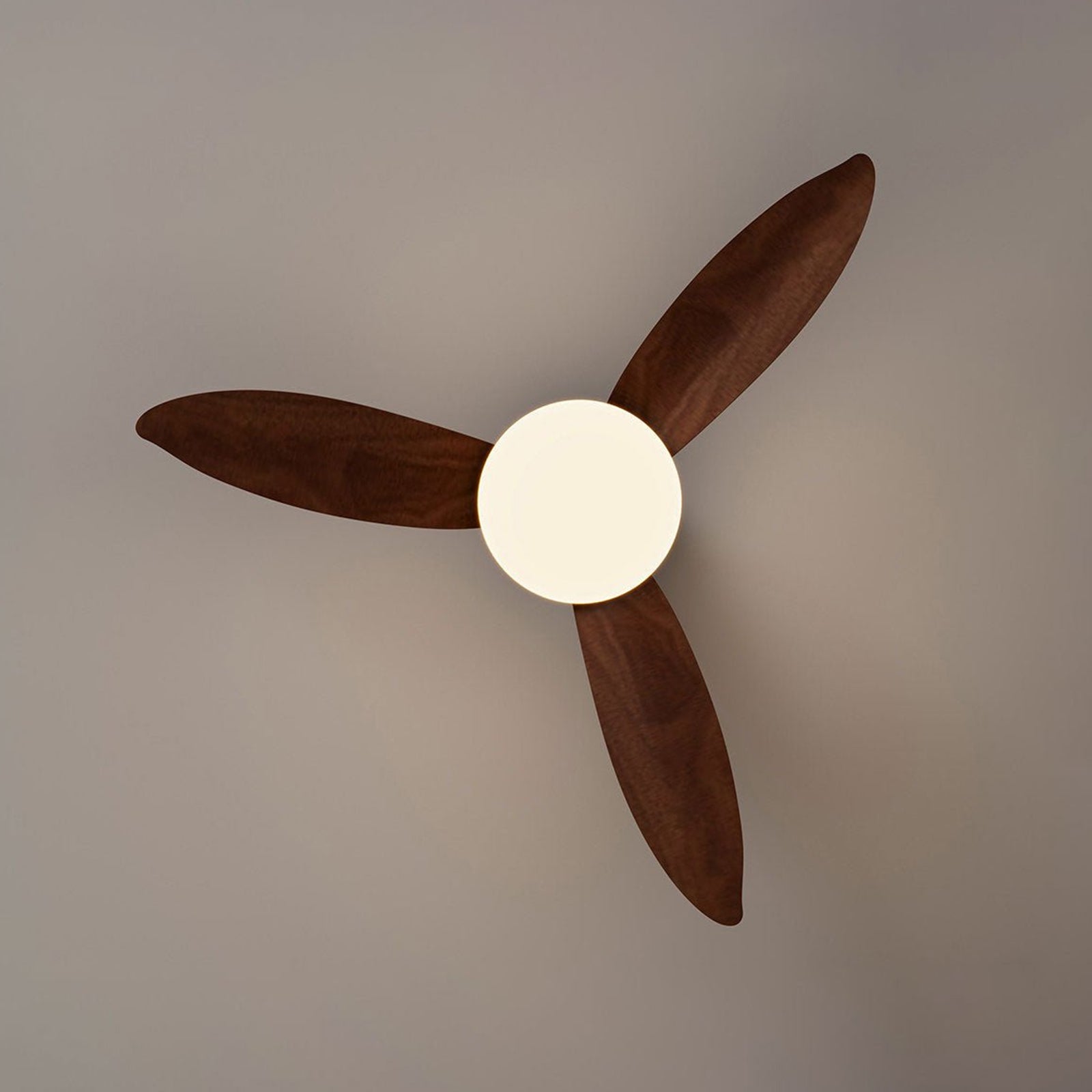 Three Sculpted Curved Blades