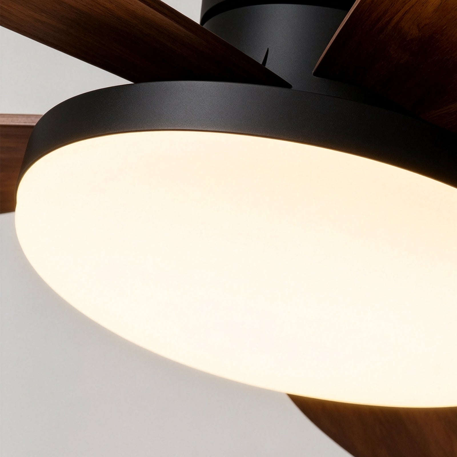 Acrylic Diffuser's Soft Even Glow