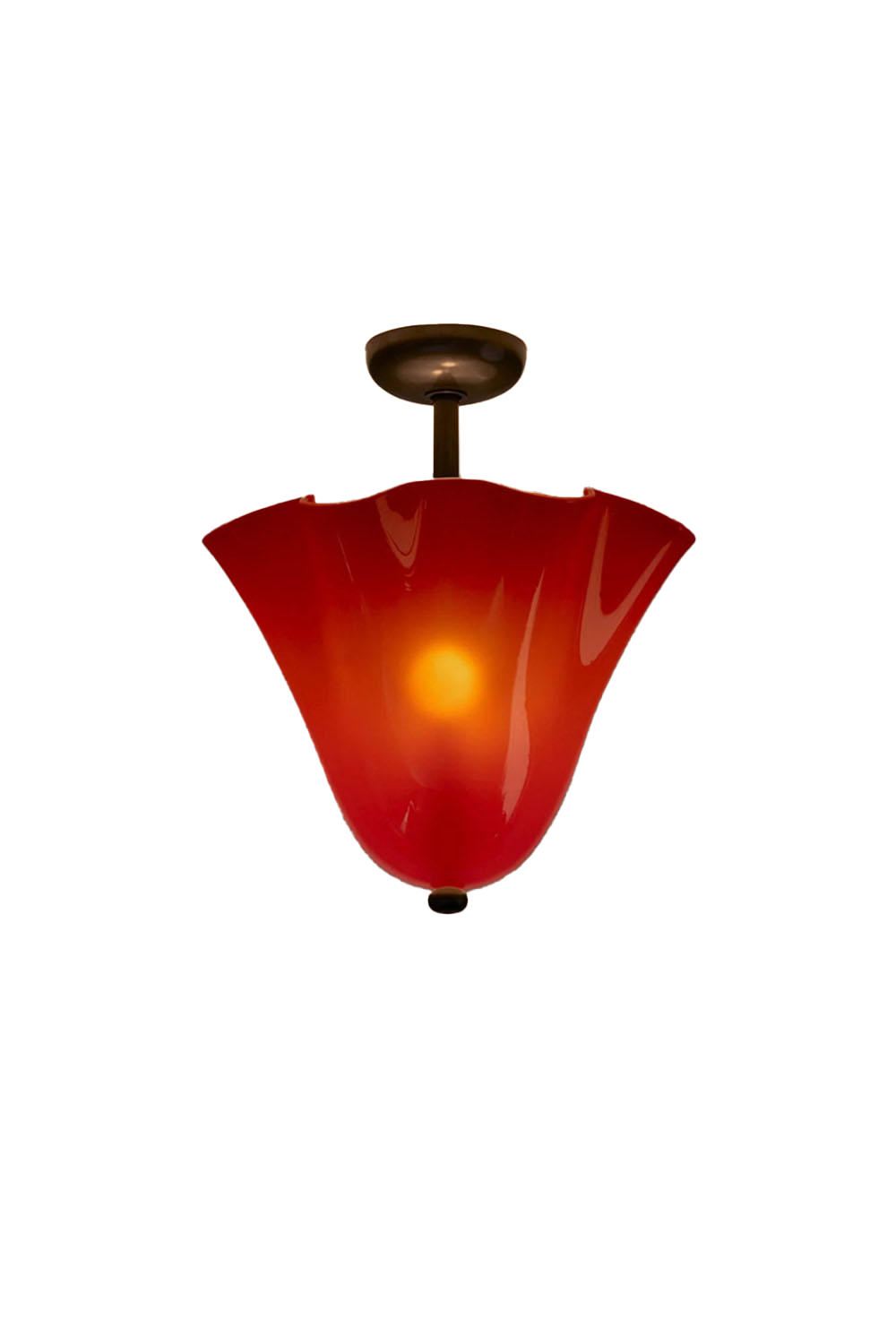 Flora Tulip Series Ceiling Lamp
