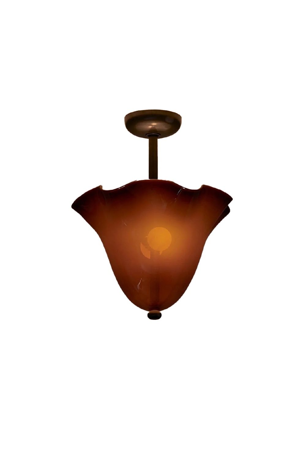 Flora Tulip Series Ceiling Lamp