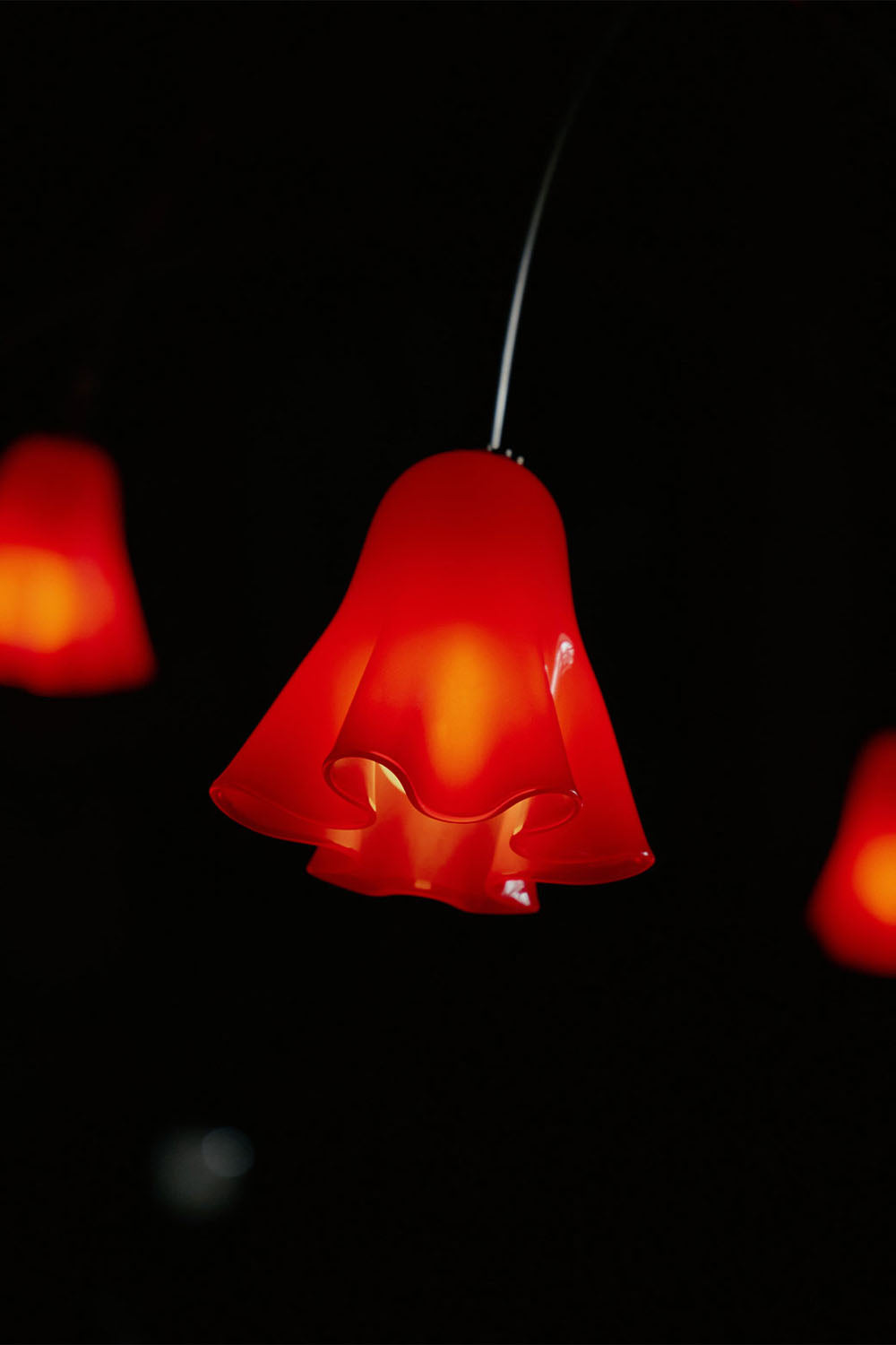 Flora Tulip Series Chandelier