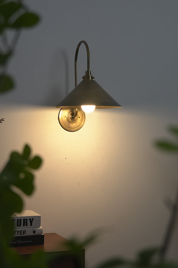 Gooseneck Cone Wall Sconce