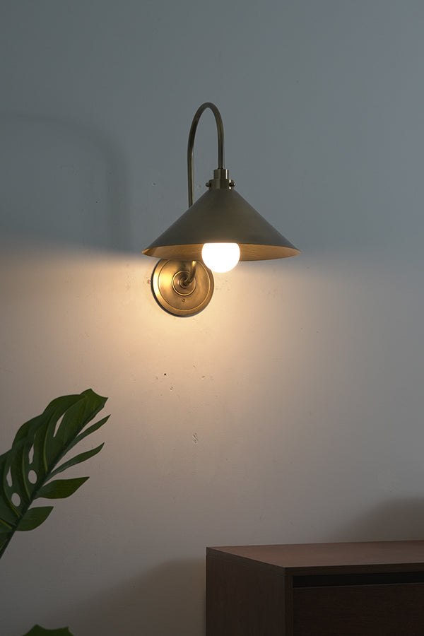 Gooseneck Cone Wall Sconce