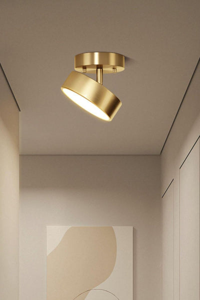 Brass Hero Rotating Ceiling Lamp