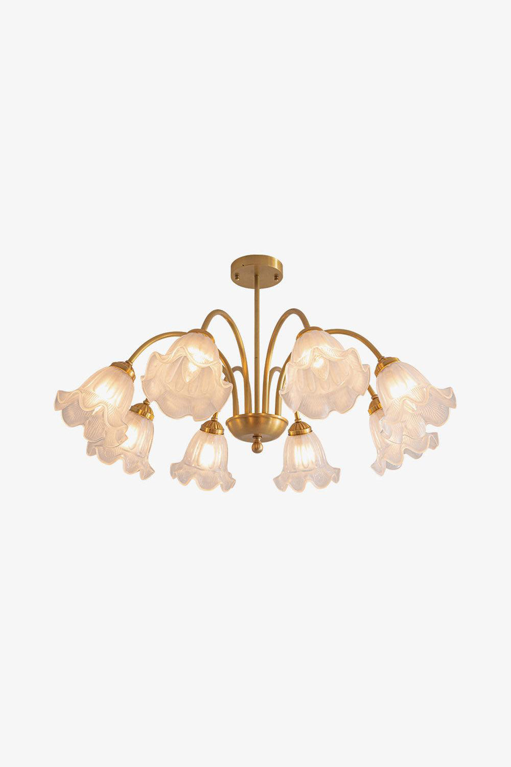 Lily Chandelier - SamuLighting