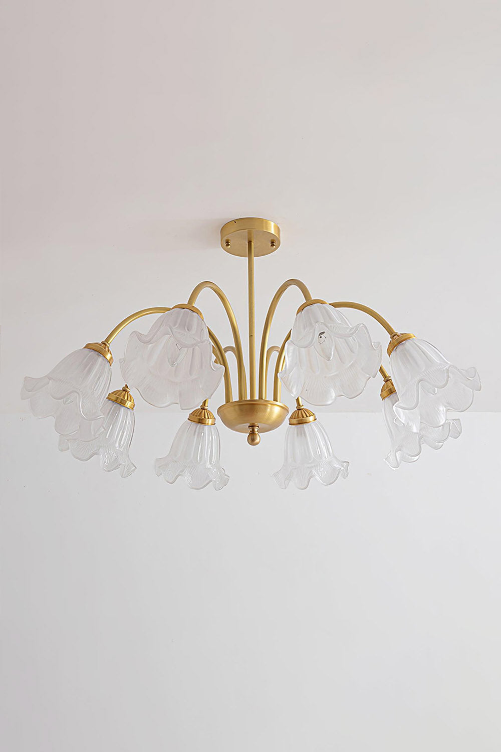 Lily Chandelier - SamuLighting