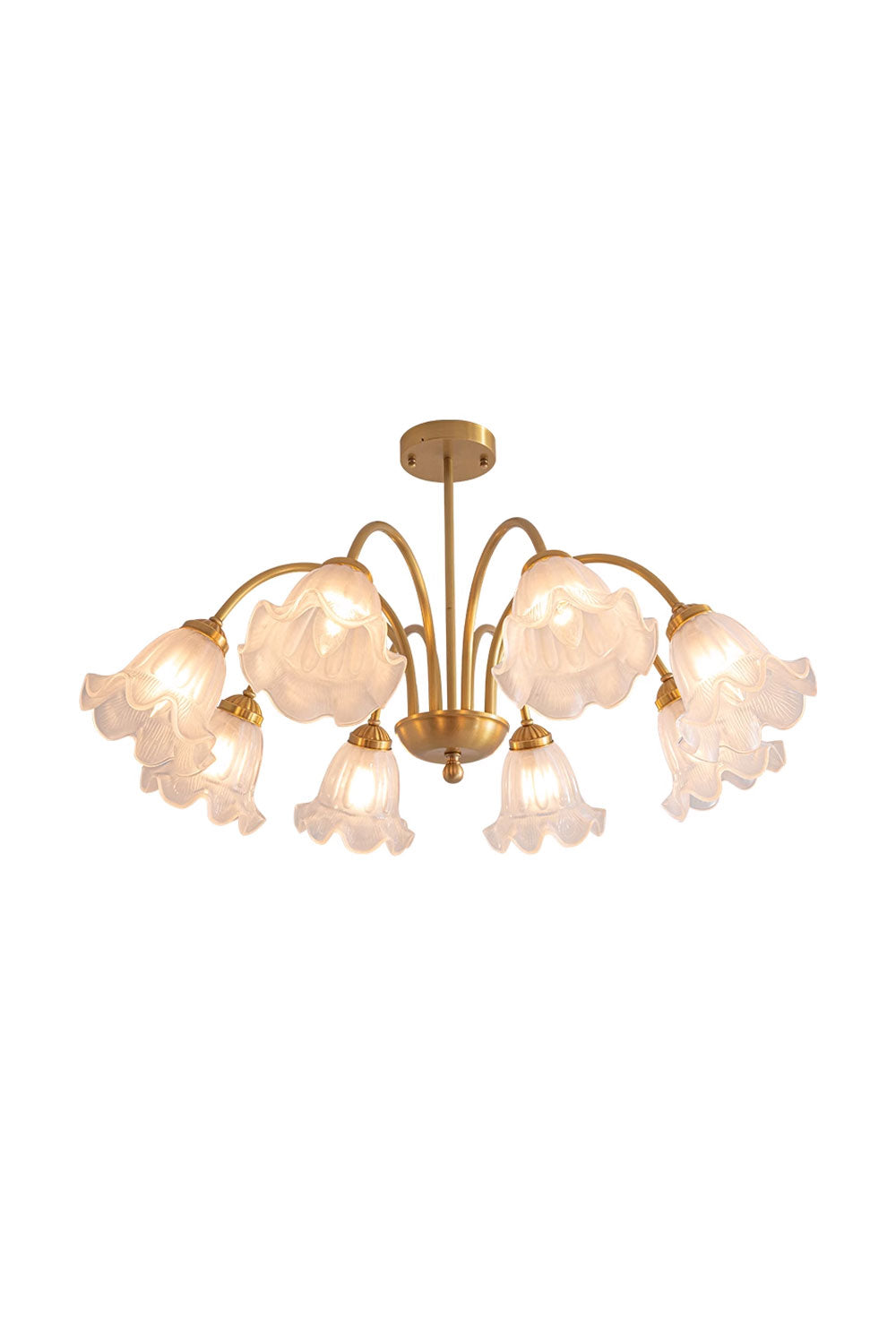 Lily Chandelier - SamuLighting