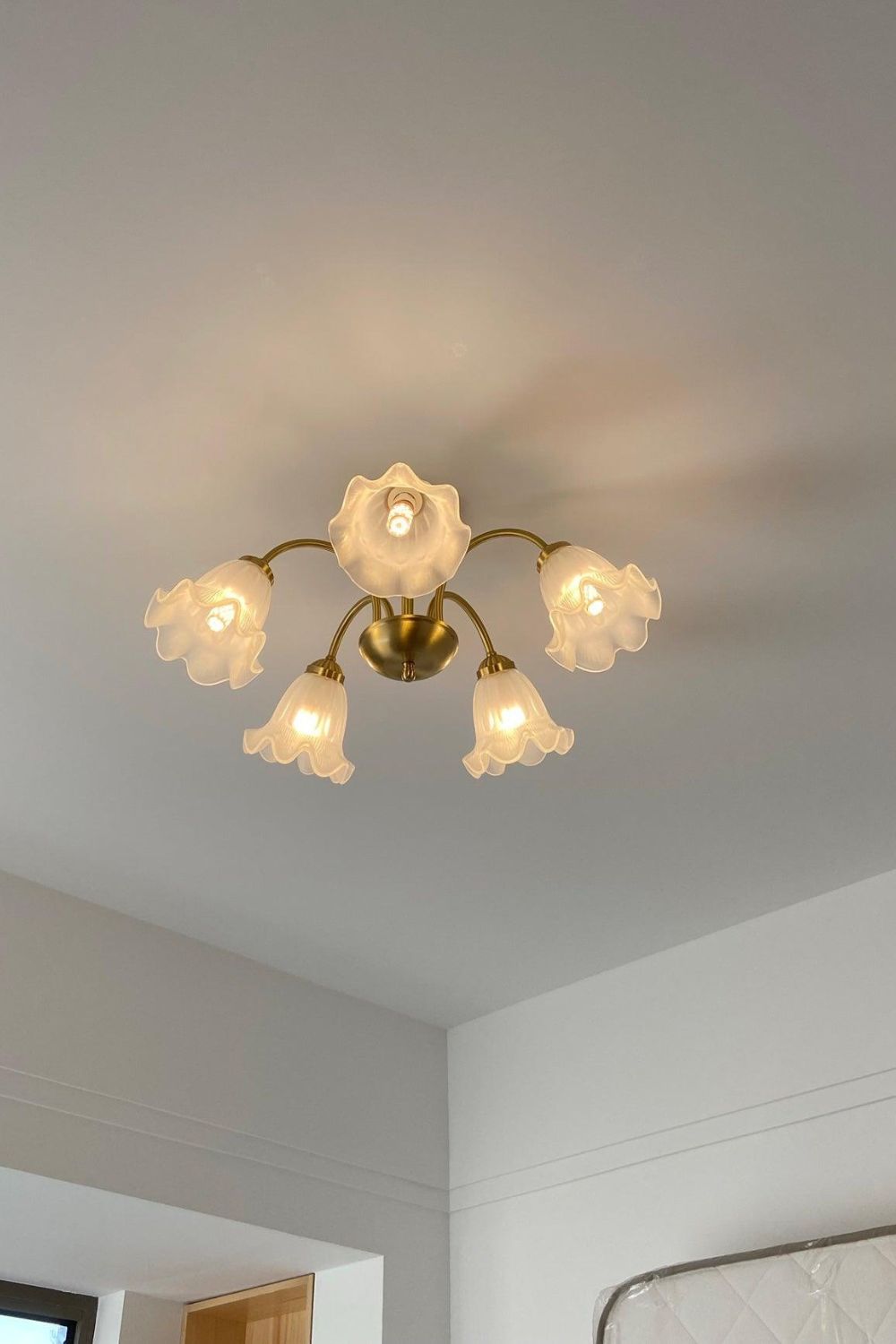 Lily Chandelier - SamuLighting