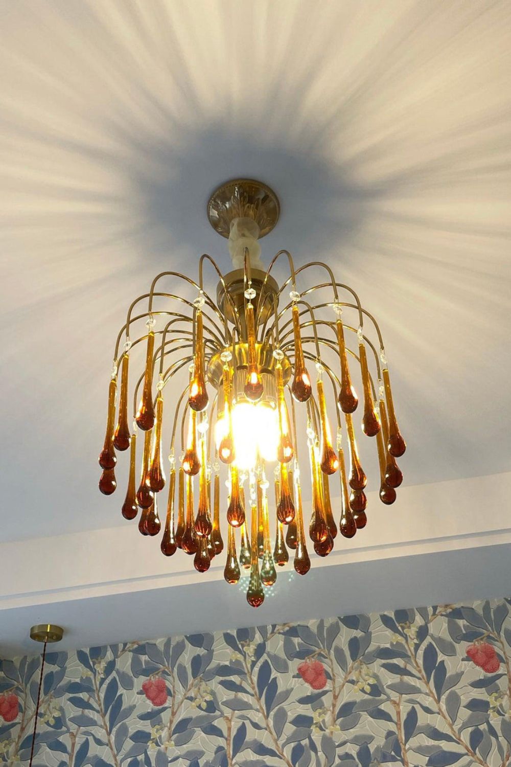 Maltose Chandelier - SamuLighting