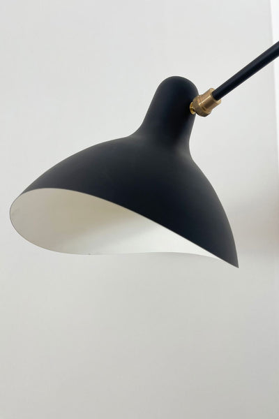 Mantis Arm Wall Lamp