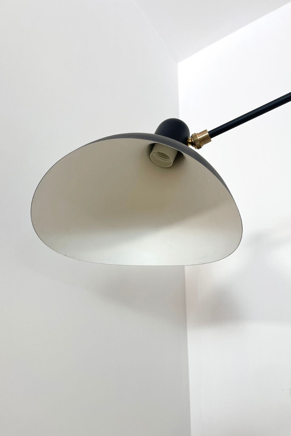 Mantis Arm Wall Lamp