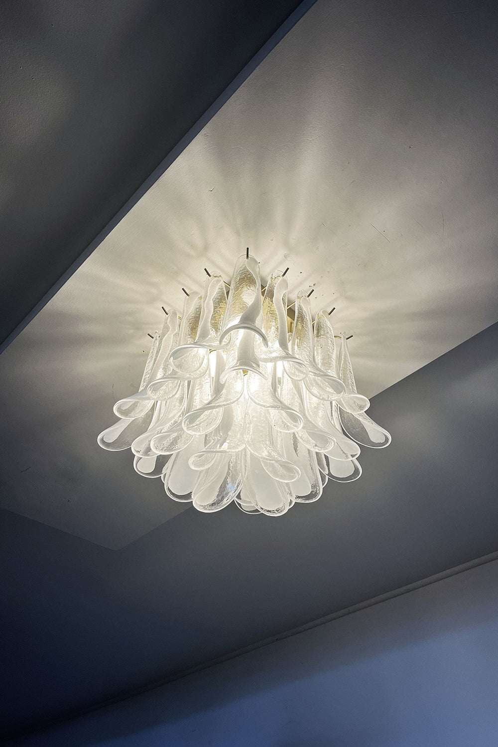Murano Clear Glass Petal Ceiling Lamp