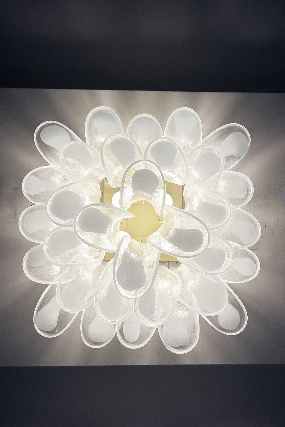 Murano Clear Glass Petal Ceiling Lamp