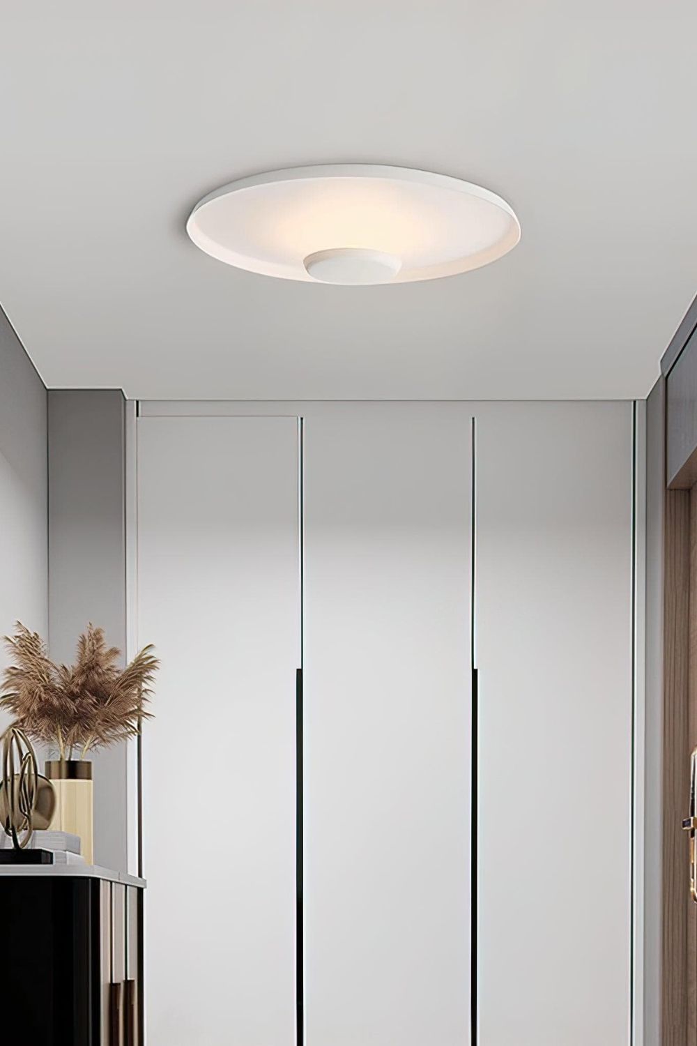 OLEV Overfly Plus Ceiling Light