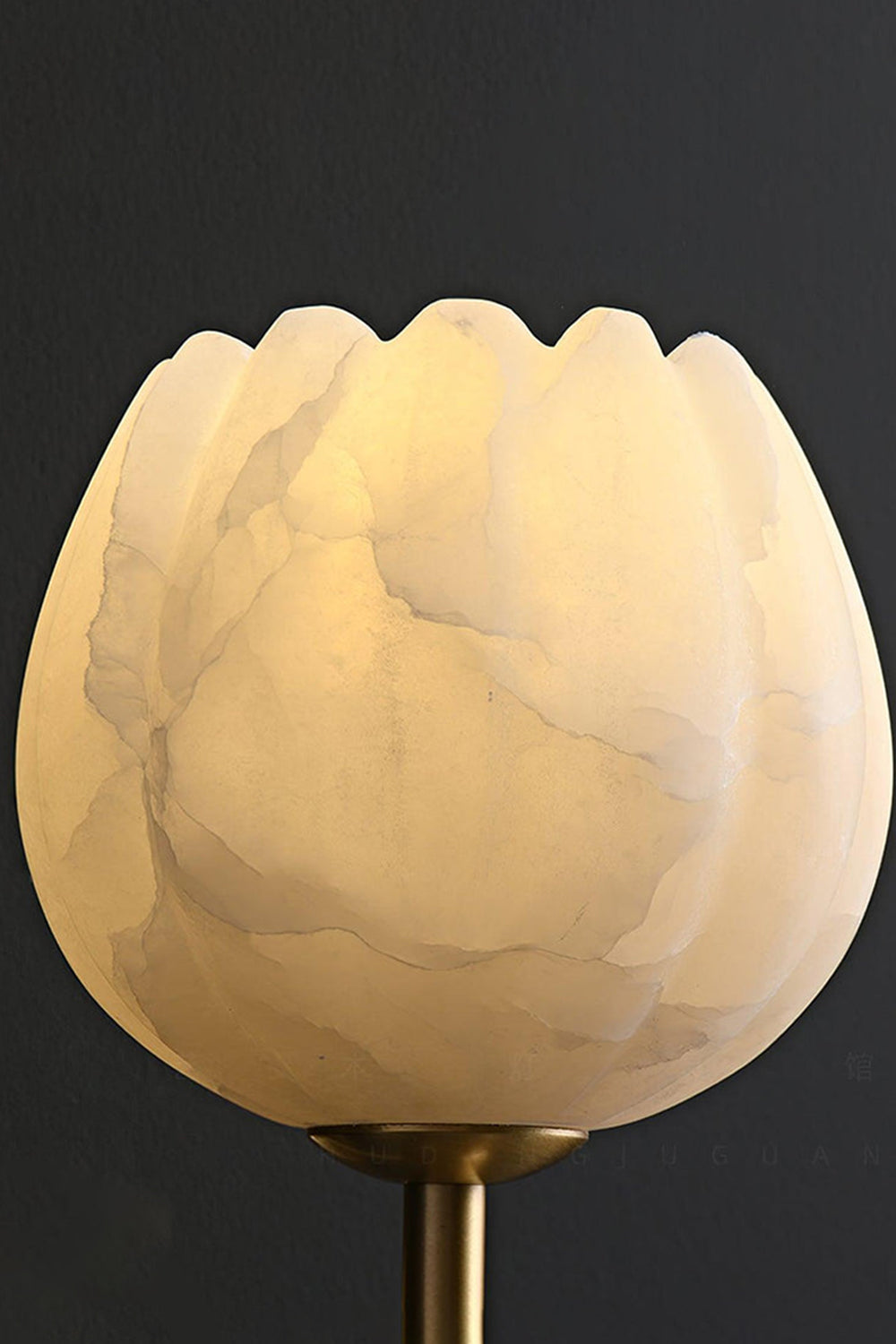 Ondine Alabaster Blossom Wall Sconce | Natural Alabaster and Brass | Macro view of the glowing translucent tulip stone shade highlighting organic veining on black background | Samu Lamp