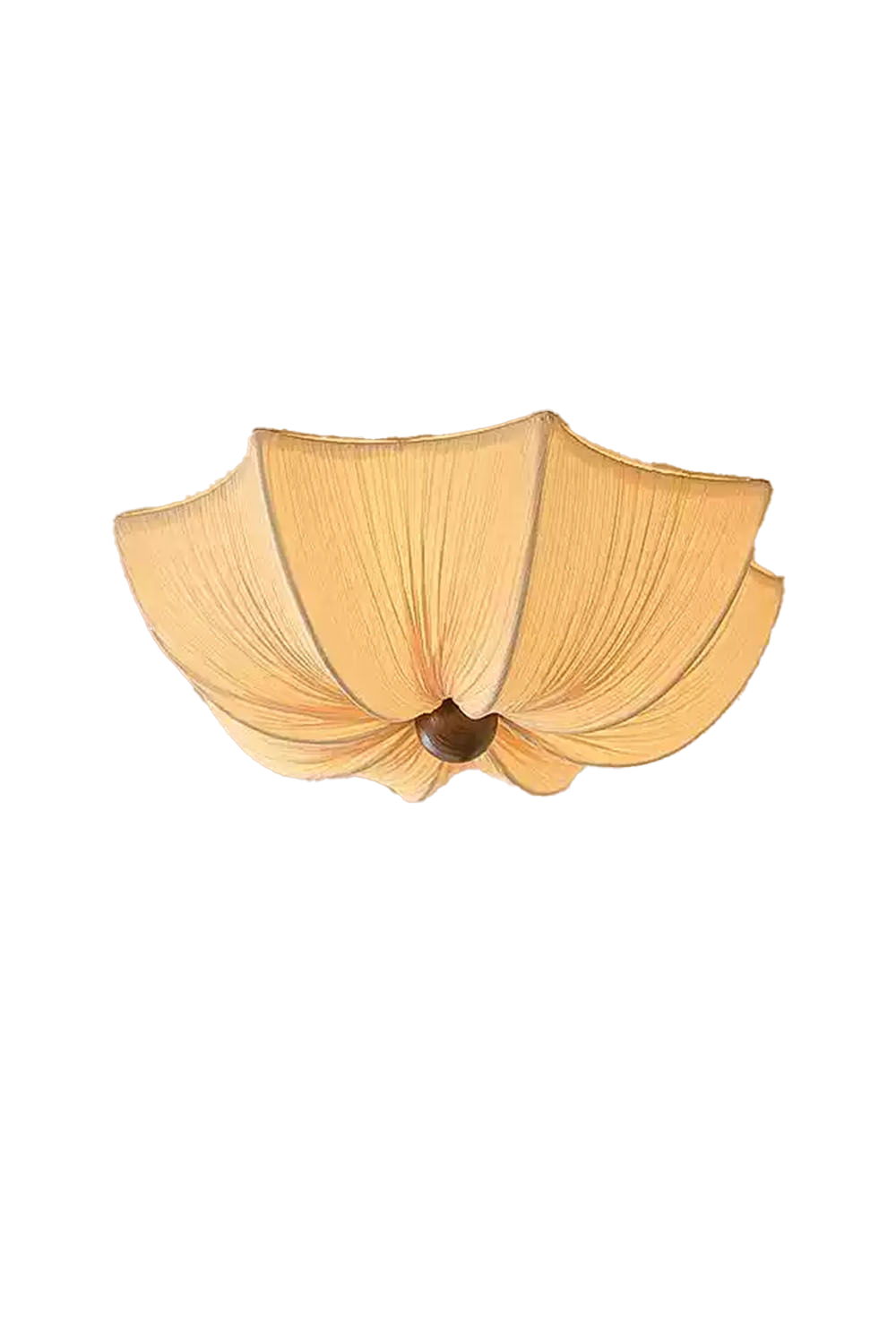Planetarium Modern Ceiling Lamp