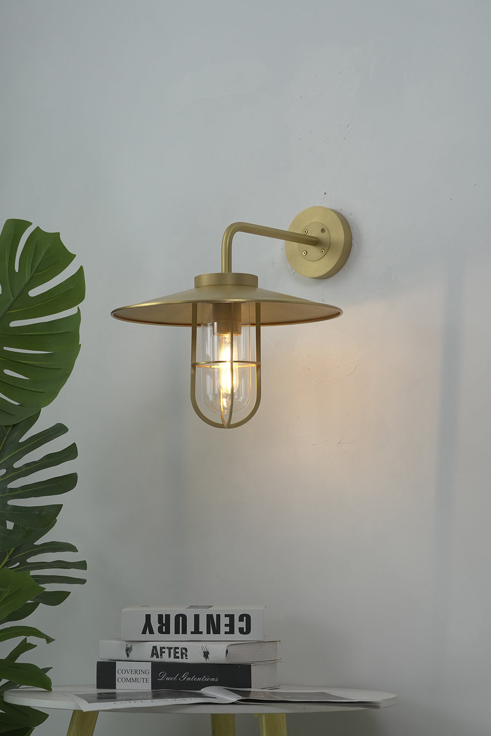 Lit brass nautical wall light on white interior wall | Brass, Glass | Indoor scene with a green plant | Samu Lamp