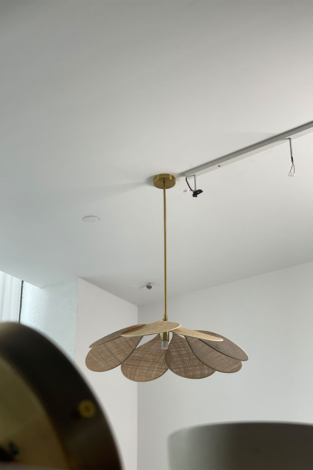 Rattan Pendant Lamp