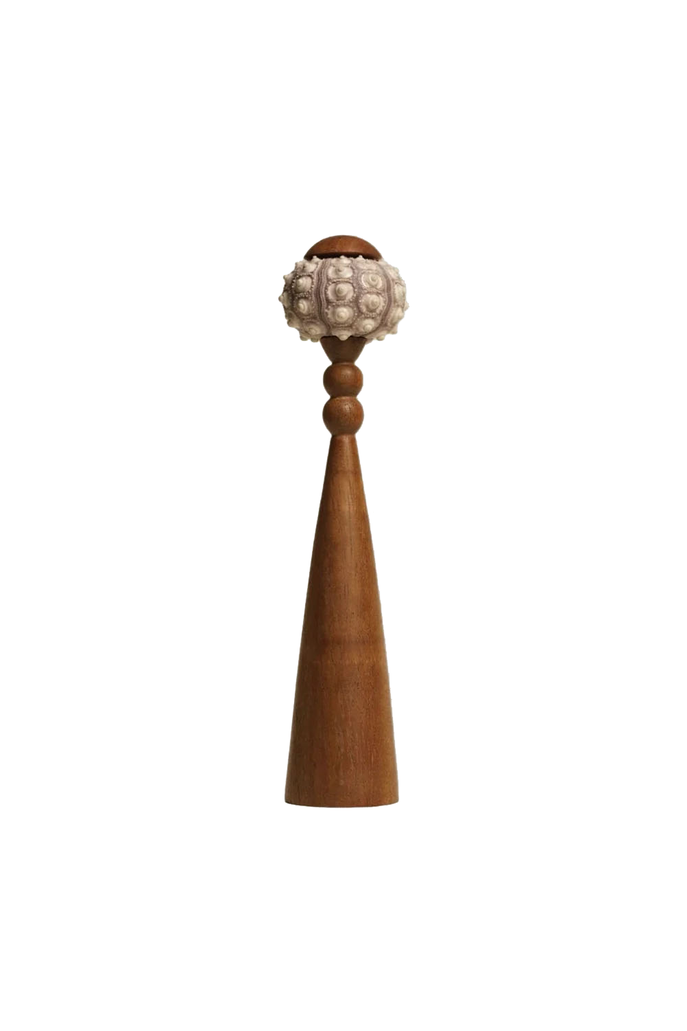 Sea Urchin Table Lamp