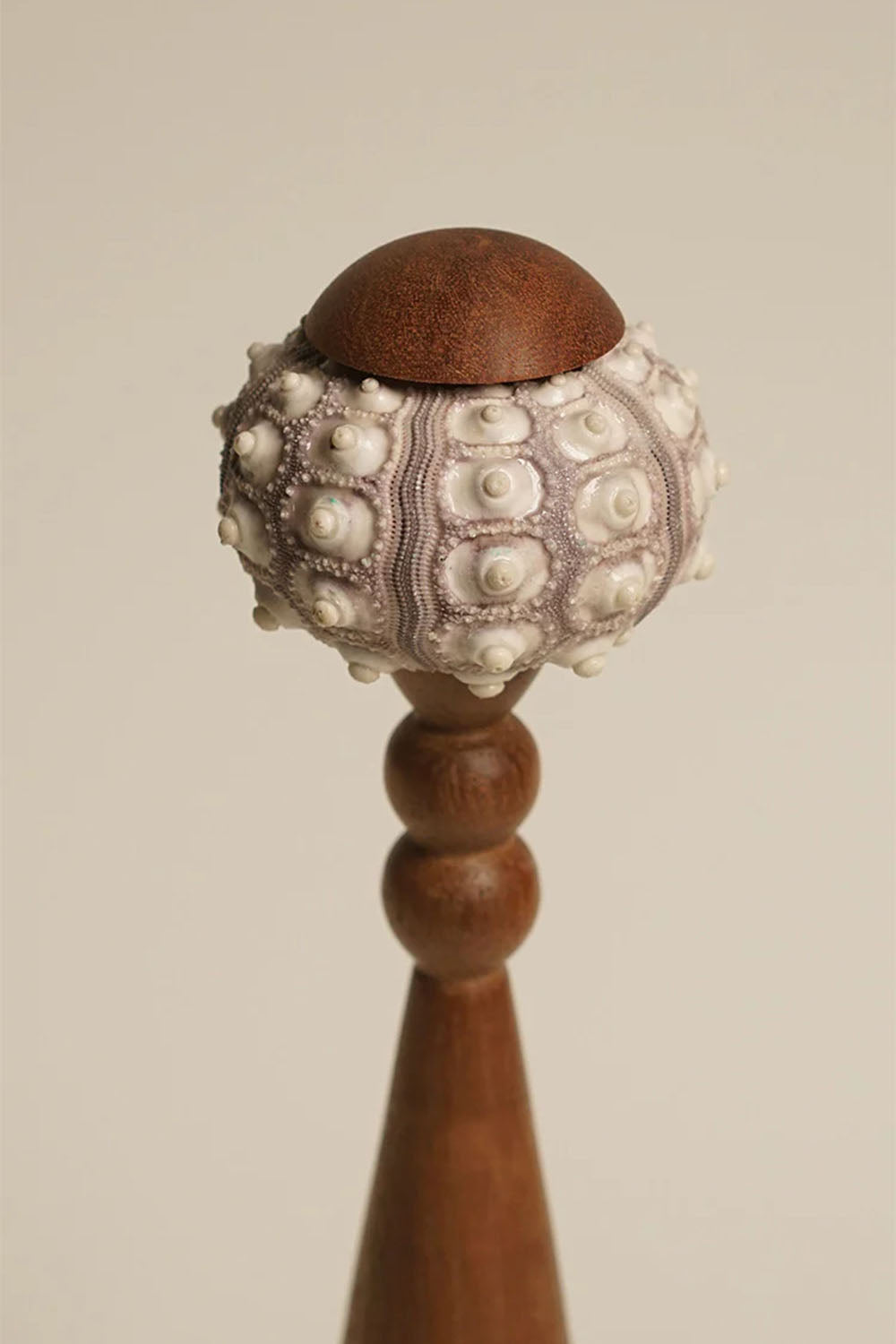 Sea Urchin Table Lamp