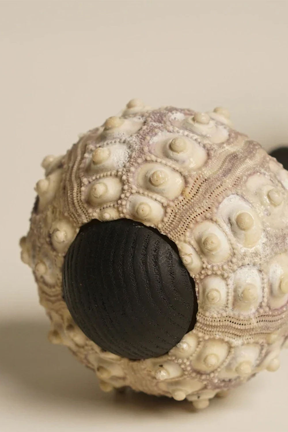 Sea Urchin Table Lamp
