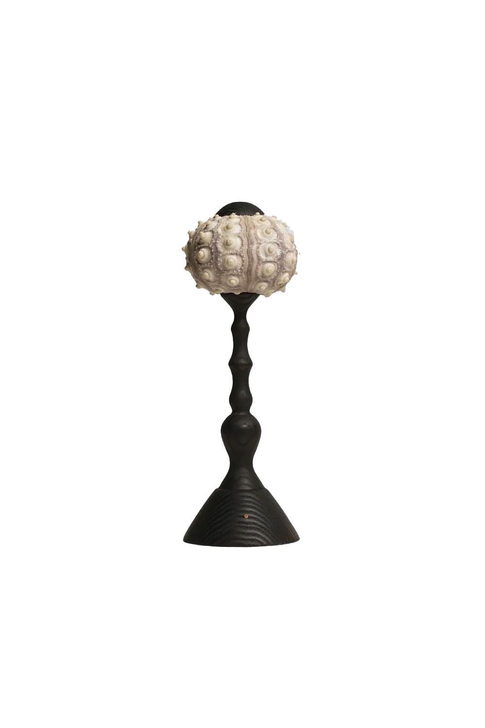 Sea Urchin Table Lamp