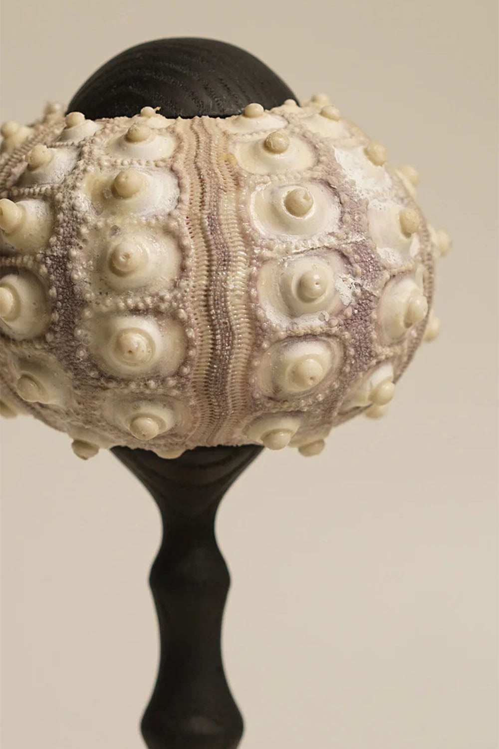 Sea Urchin Table Lamp