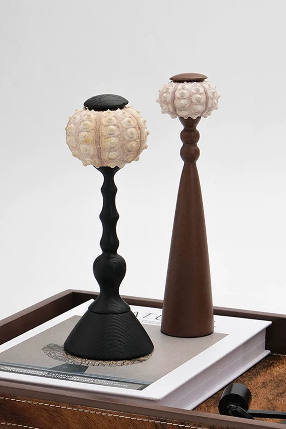 Sea Urchin Table Lamp