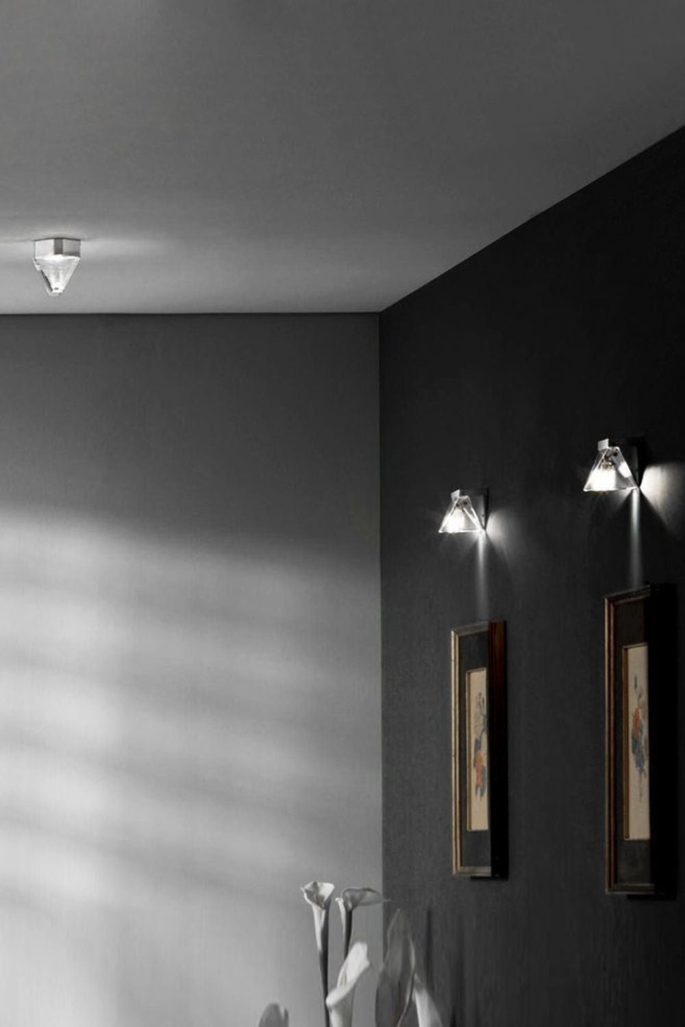 Tripla Ceiling light - SamuLighting