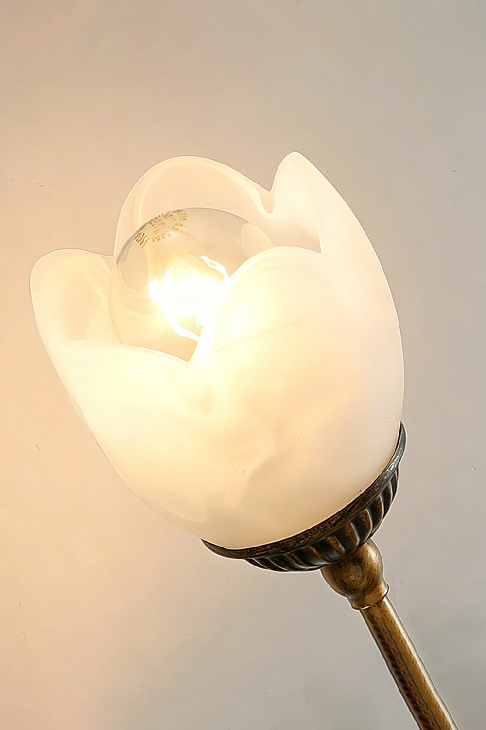 Veridia Metal Wall Sconce | detail | Samu  Lamp