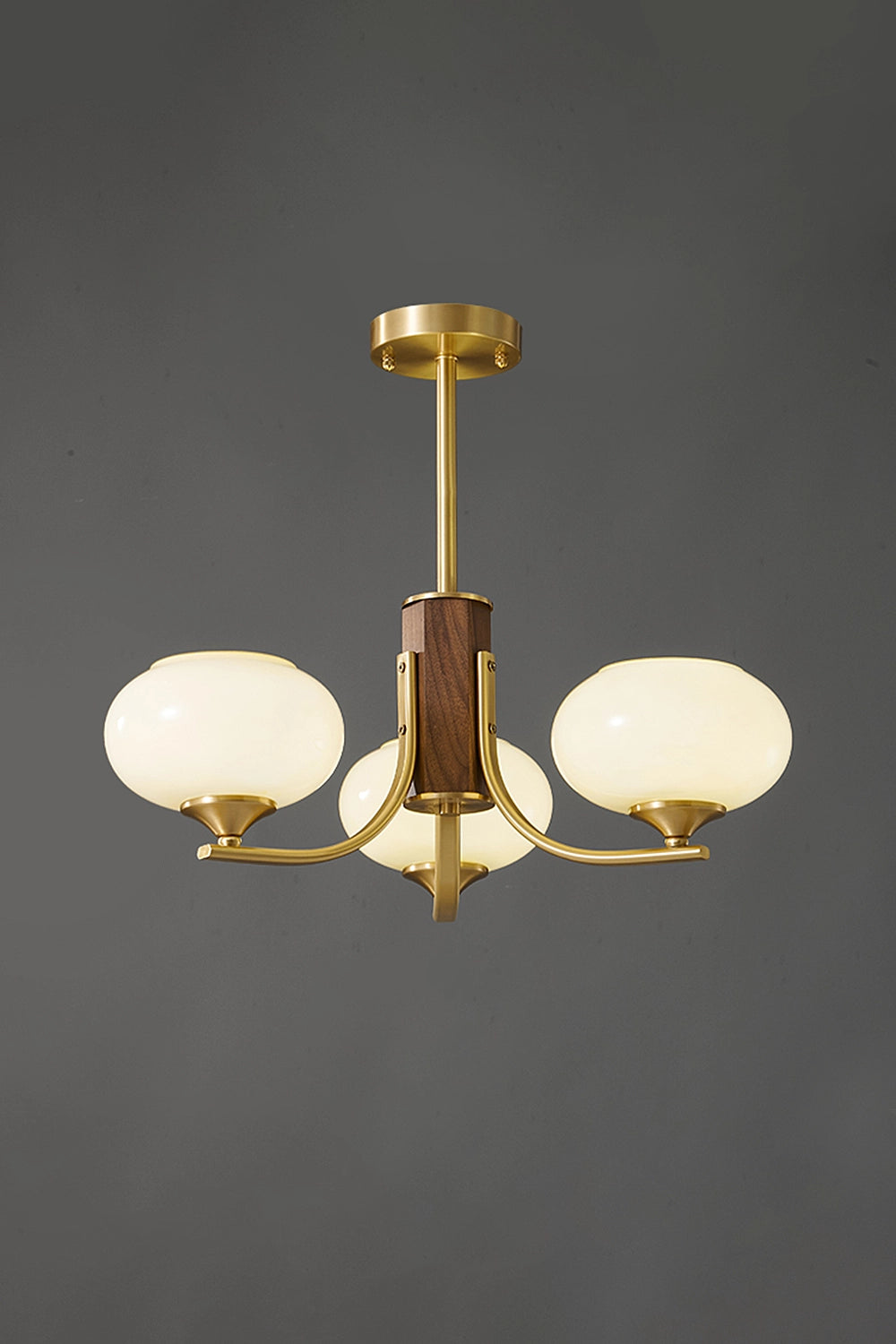 Vintage Larenta Rico Chandelier
