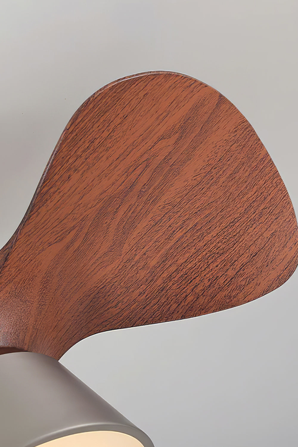 Volos Modern Minimalist Ceiling Fan Light | Wood, Metal | Macro close-up view highlighting the aerodynamic curved profile and natural rich grain texture of a sculpted walnut wood blade | Detail shot | Samu Lamp