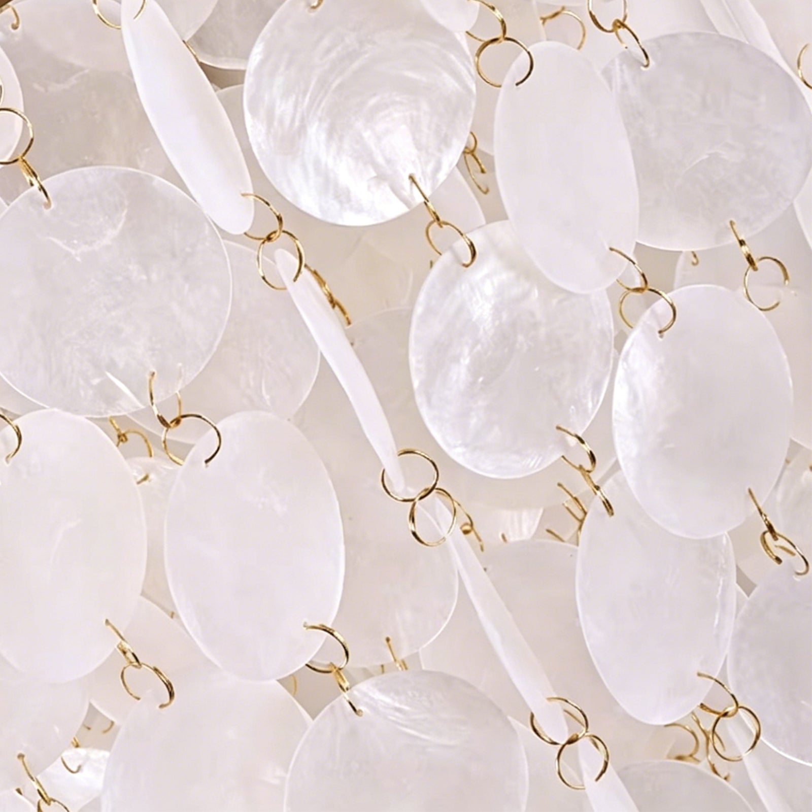 Natural Shell Texture