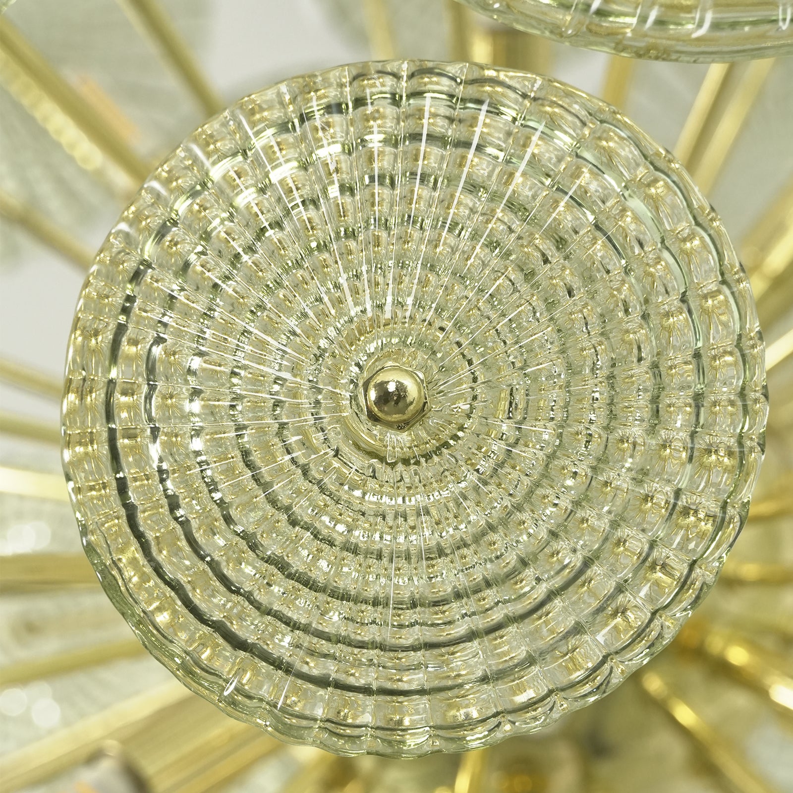 Radiant Dandelion Design