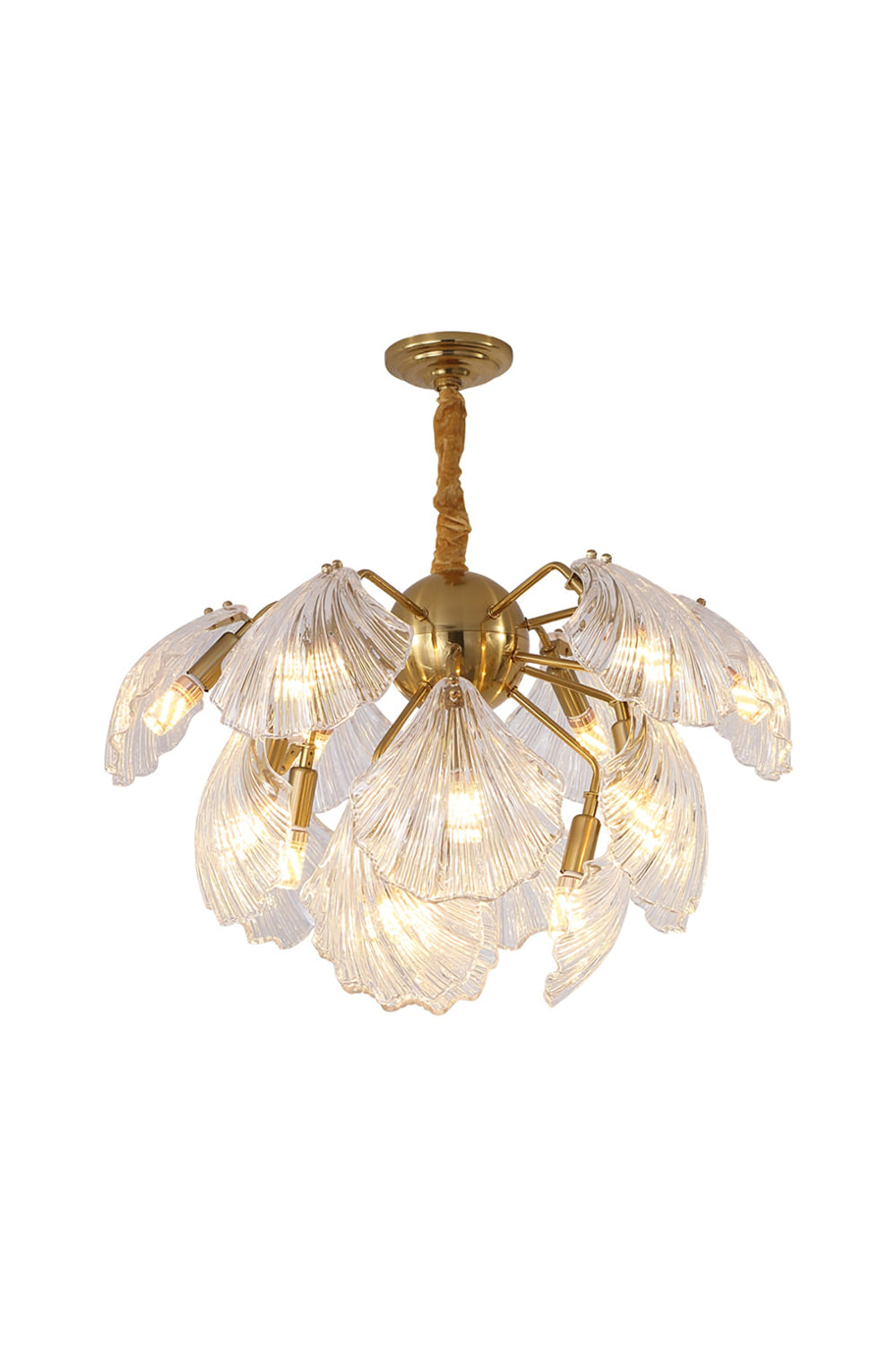 Ribbed Shell Chandelier - SamuLighting