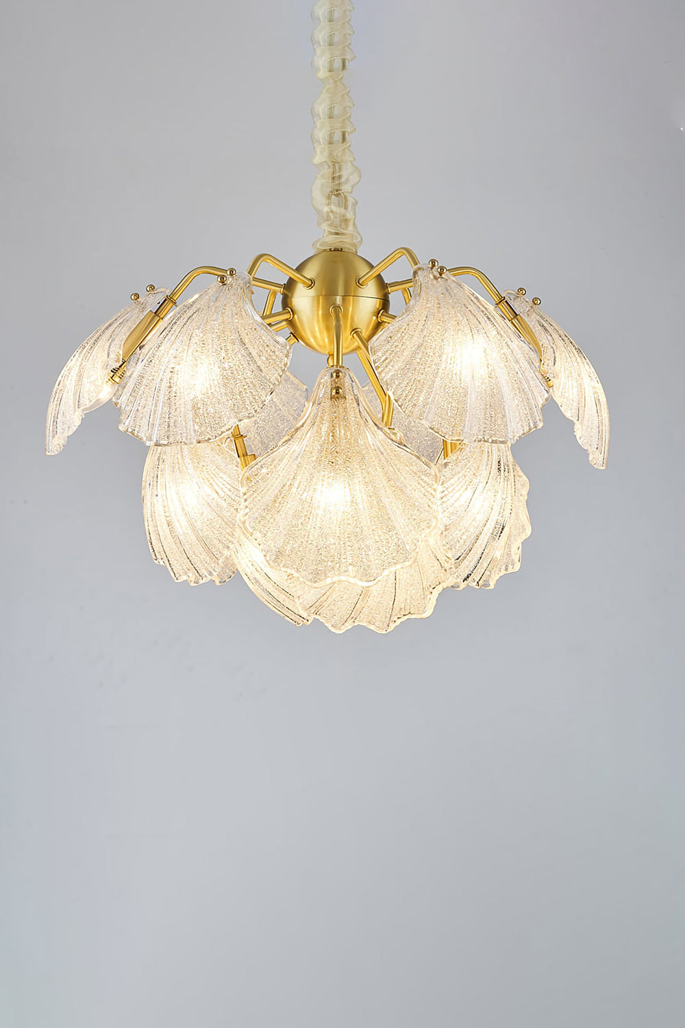 Ribbed Shell Chandelier - SamuLighting