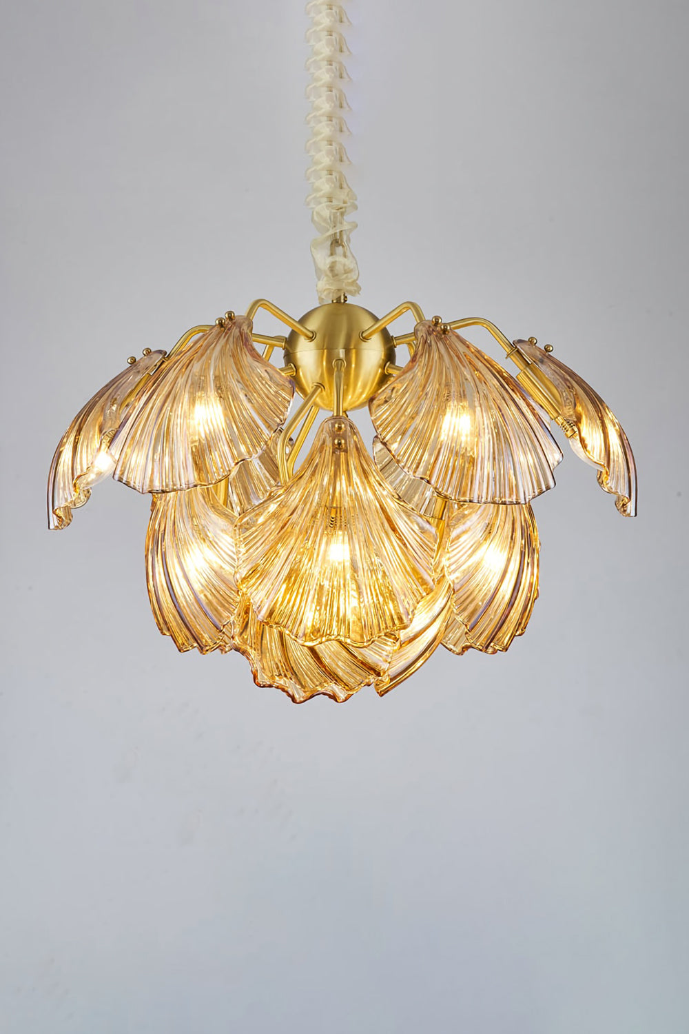 Ribbed Shell Chandelier - SamuLighting