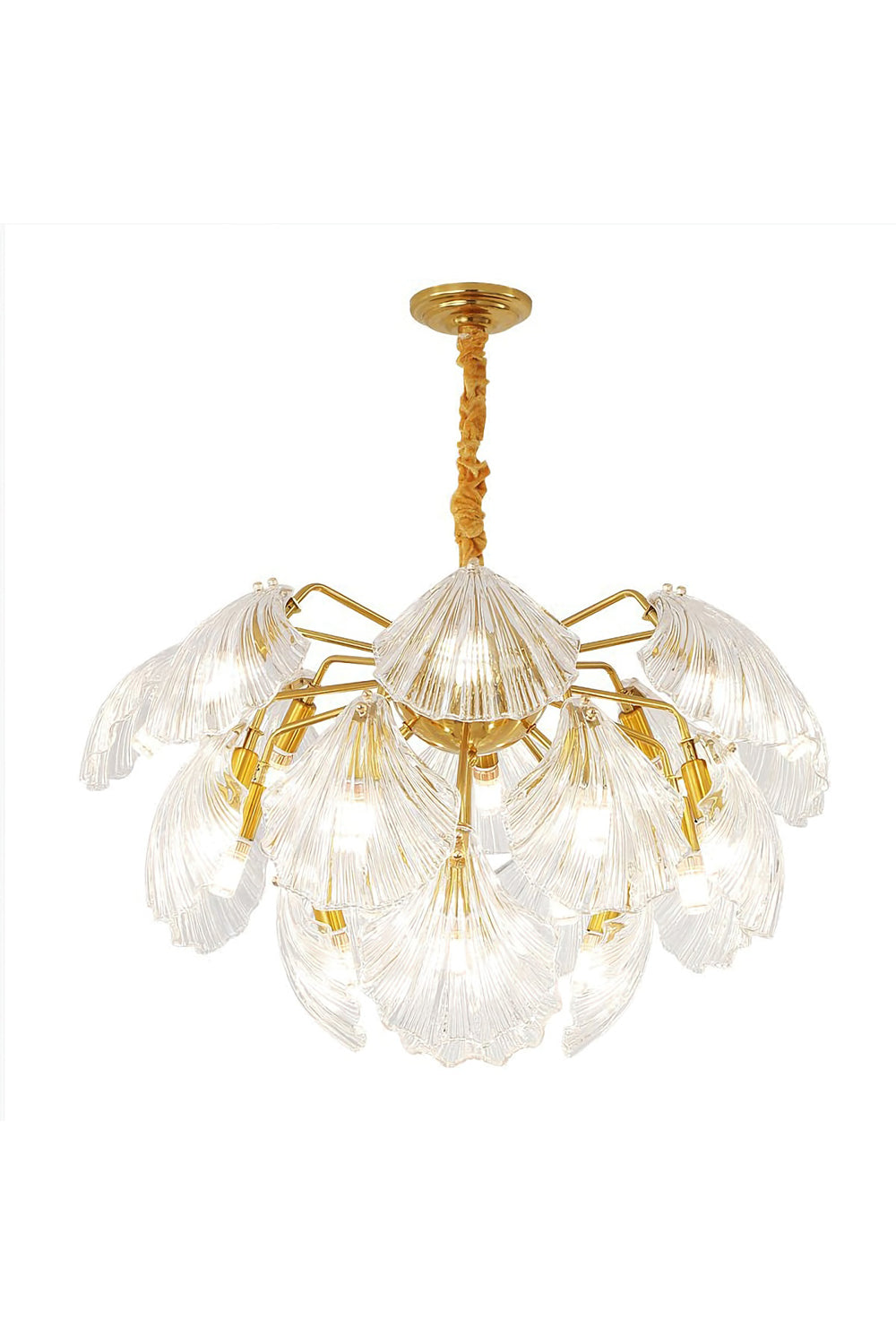 Ribbed Shell Chandelier - SamuLighting