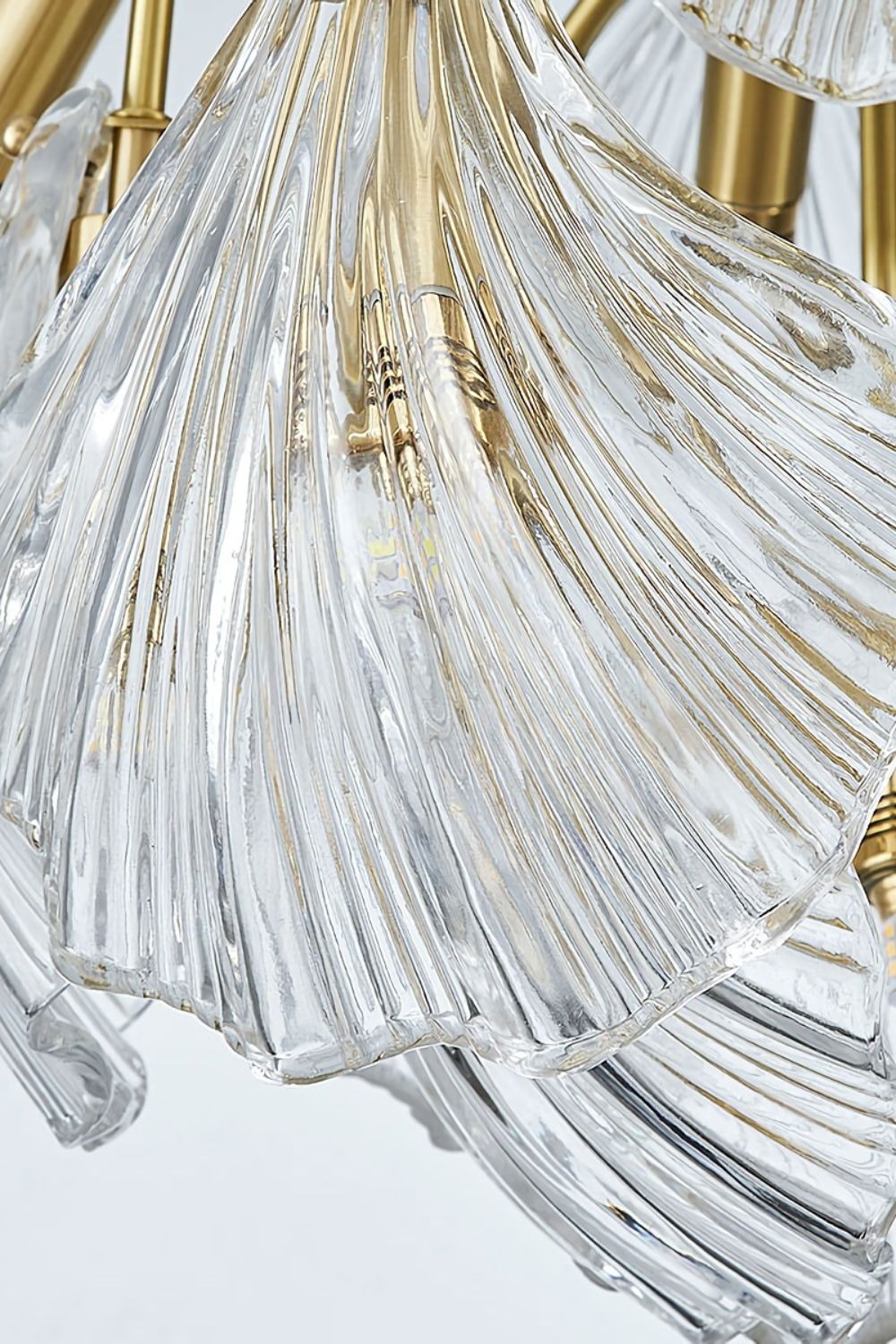 Ribbed Shell Chandelier - SamuLighting